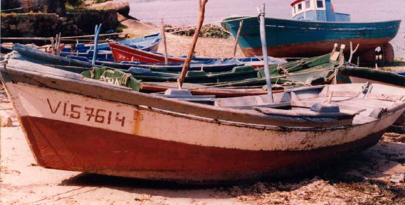 Fotografía del buque