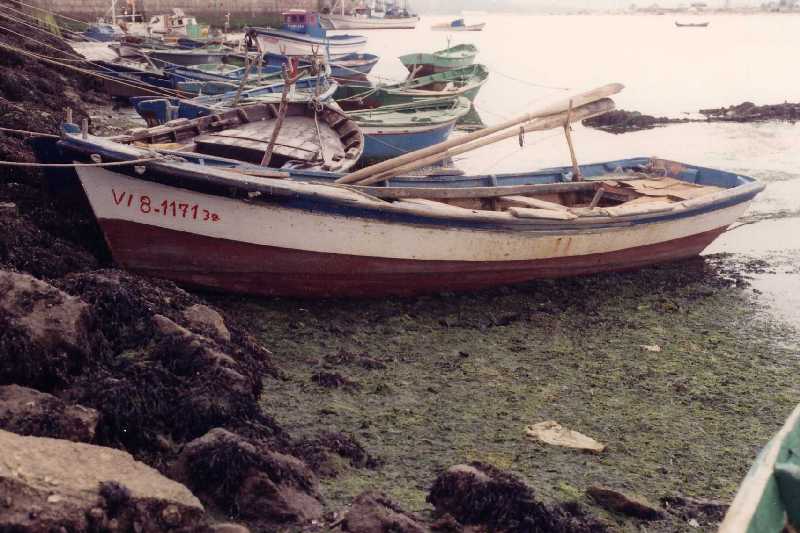 Fotografía del buque