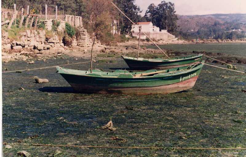 Fotografía del buque