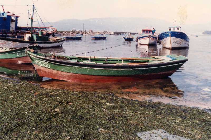 Fotografía del buque