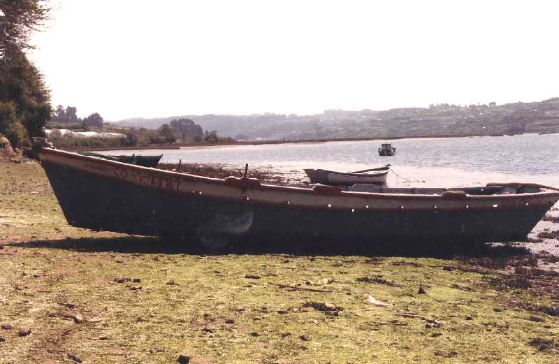 Fotografía del buque