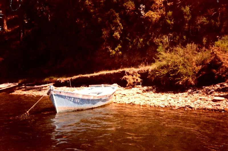 Fotografía del buque