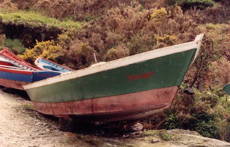 Fotografía del buque