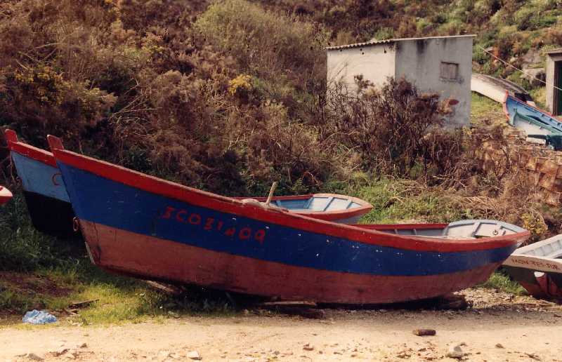 Fotografía del buque