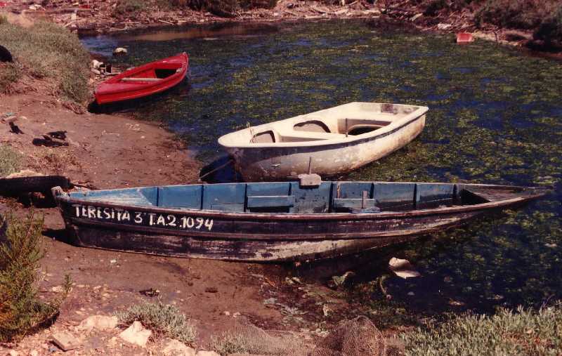 Fotografía del buque