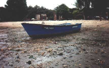 Fotografía del buque