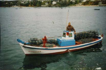 Fotografía del buque