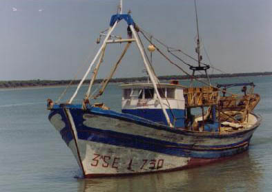 Rosa Vientos Barco