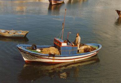 Fotografía del buque