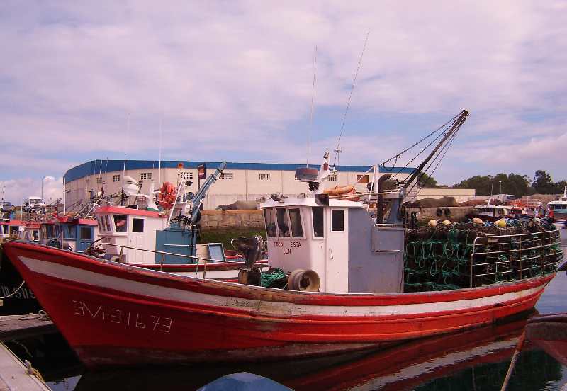 Fotografía del buque