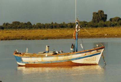 Fotografía del buque