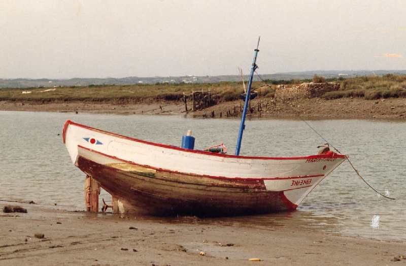 Fotografía del buque