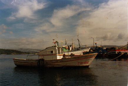 Fotografía del buque